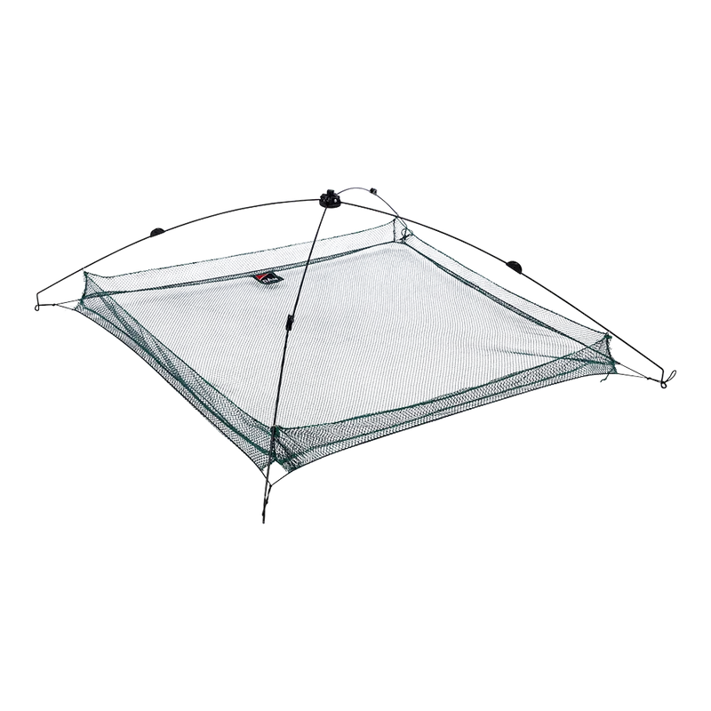 2026_07_10_2379125