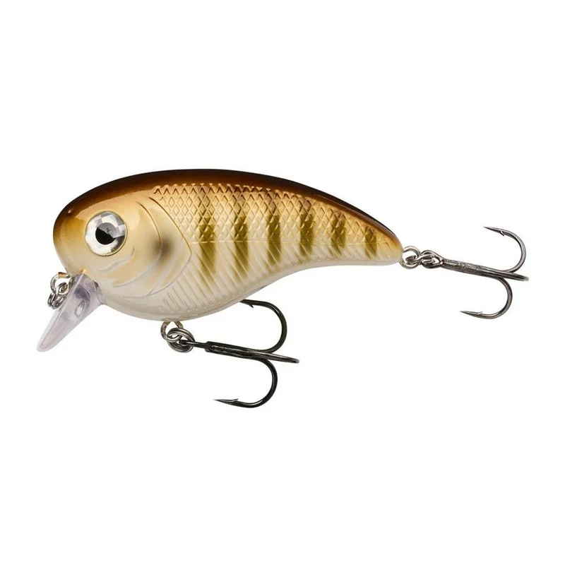 2026_07_10_2386337