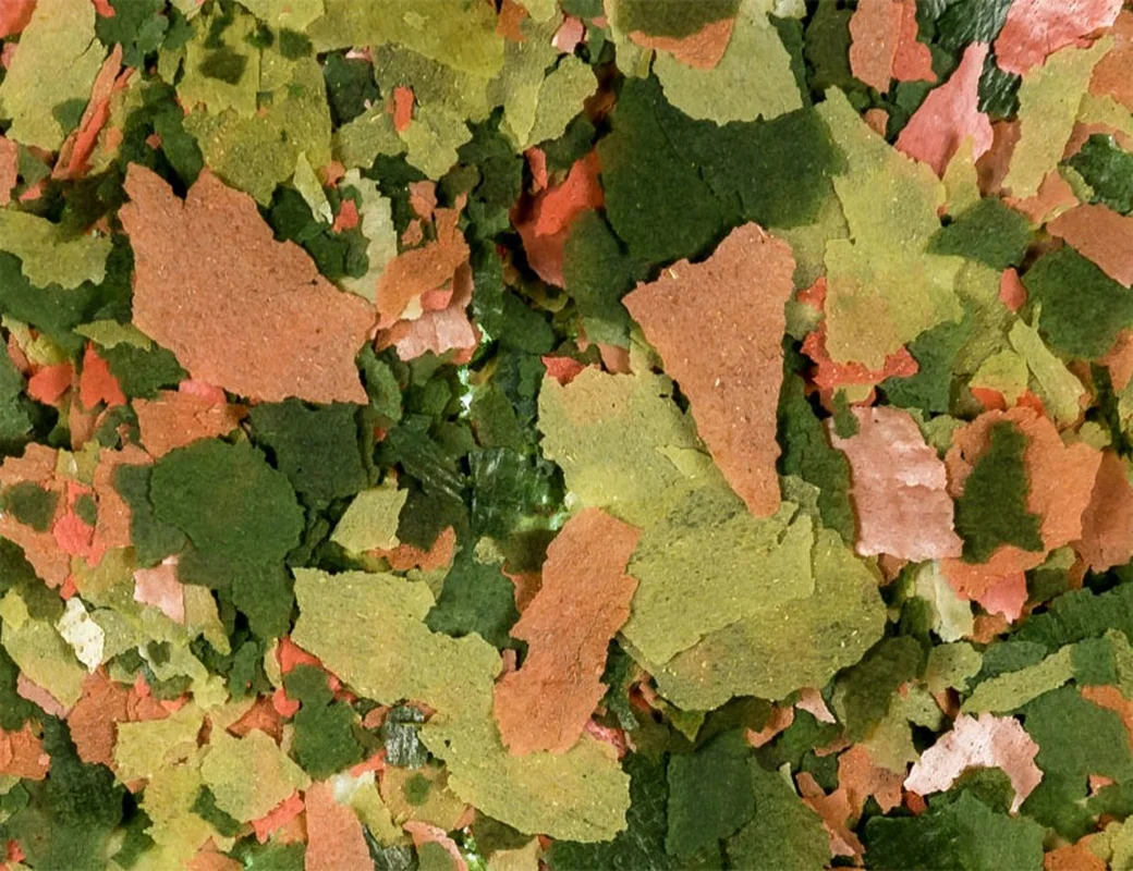 2026_07_10_2474676