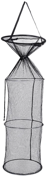 2026_07_11_2625041